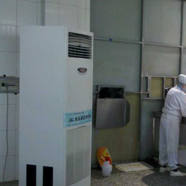 黄冈食品正负离子空气杀菌器